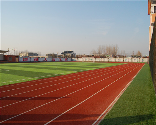 临沂八湖小学案例