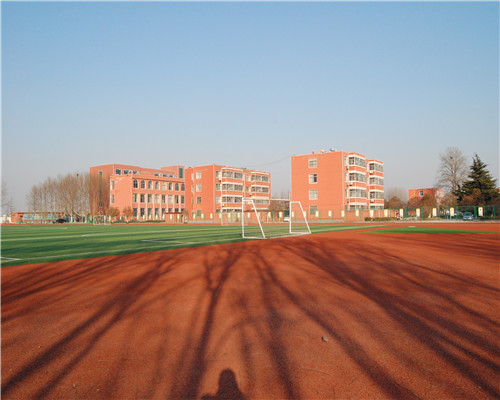 临沂太平小学操场工程案例